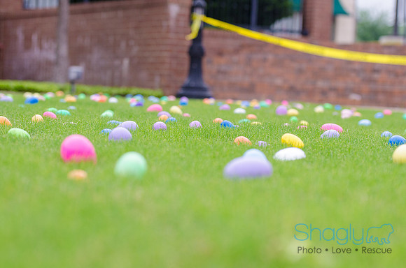 Easter Beg Hunt 2012-96