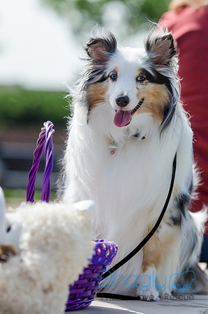 Easter Beg Hunt 2012-222
