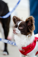Easter Beg Hunt 2012-80
