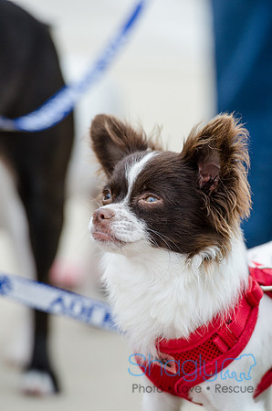 Easter Beg Hunt 2012-80