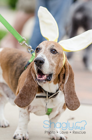 Easter Beg Hunt 2012-100