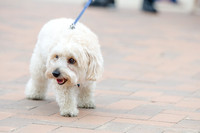 Easter Beg Hunt 2012-85