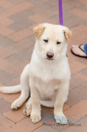 Easter Beg Hunt 2012-107