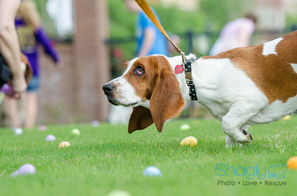 Easter Beg Hunt 2012-173