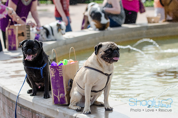 Easter Beg Hunt 2012-223