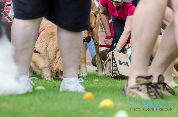 Easter Beg Hunt 2012-169