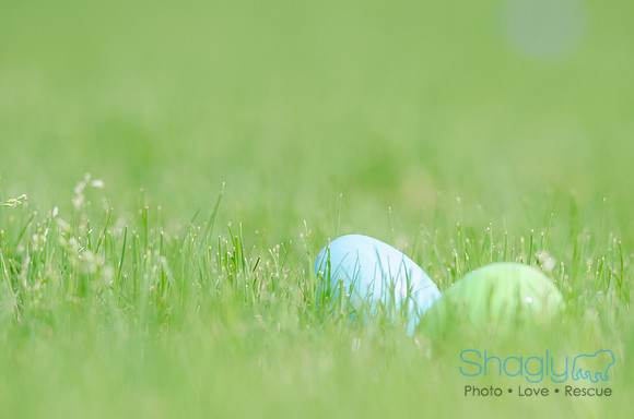 Easter Beg Hunt 2012-187