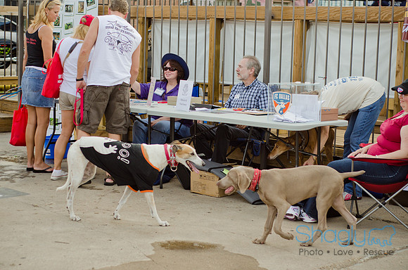 Shagly Photography-Galt-Deep Ellum Pup Crawl-82