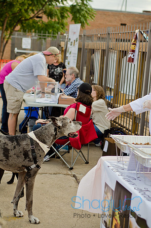 Shagly Photography-Galt-Deep Ellum Pup Crawl-58