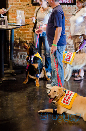 Shagly Photography-Galt-Deep Ellum Pup Crawl-27