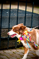 Deep Ellum Pet Parade-19