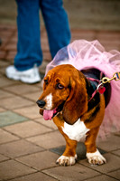 Deep Ellum Pet Parade-10