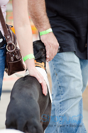 Shagly Photography-Galt-Deep Ellum Pup Crawl-89