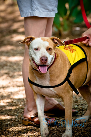 Rockin For Rescue-2
