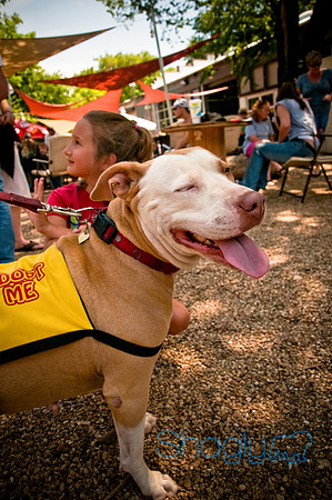 Rockin For Rescue-30
