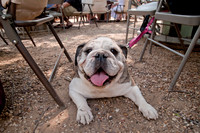 Rockin for Rescue 2011