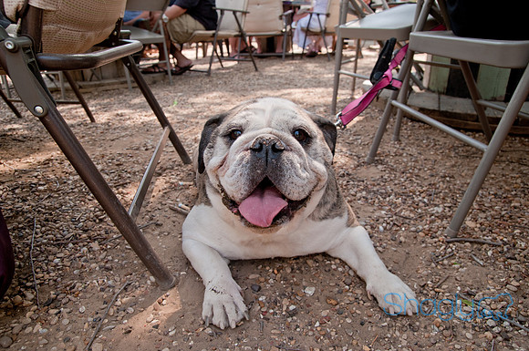 Rockin for Rescue 2011
