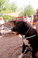 Rockin for Rescue 2011-14
