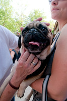 Rockin for Rescue 2011-17