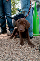 Rockin for Rescue 2011-3