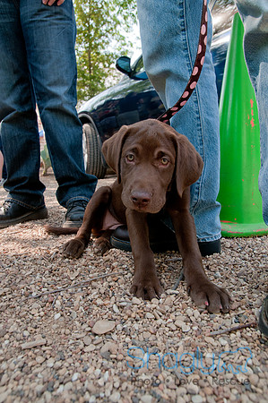 Rockin for Rescue 2011-3
