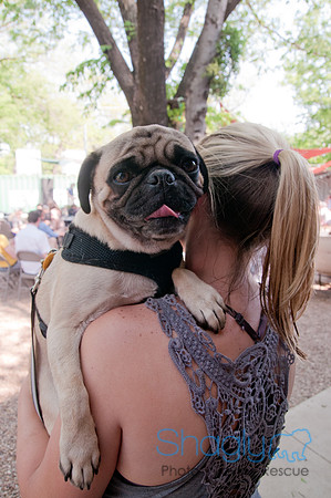 Rockin for Rescue 2011-5