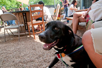 Rockin for Rescue 2011-10