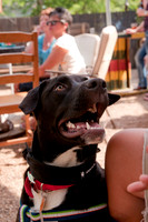Rockin for Rescue 2011-15