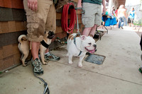 Rockin for Rescue 2011-7