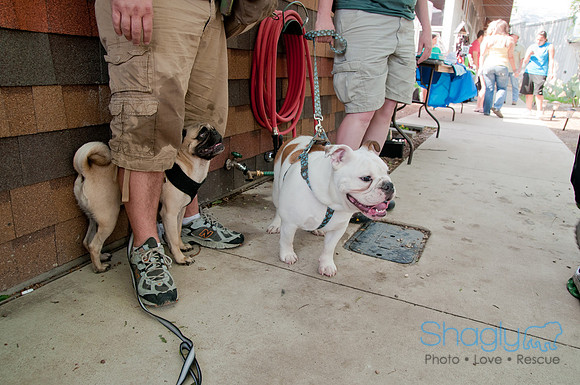 Rockin for Rescue 2011-7