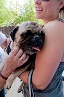 Rockin for Rescue 2011-16