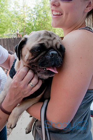 Rockin for Rescue 2011-16