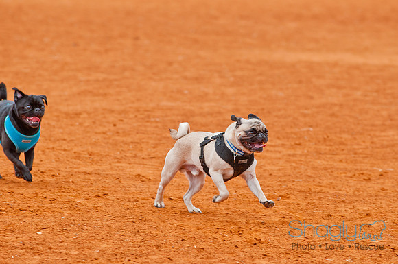 TheBallpark-37