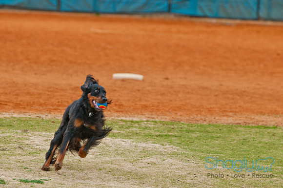 TheBallpark-27