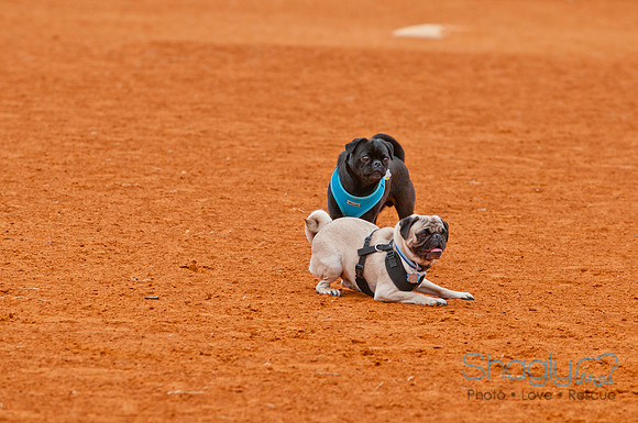 TheBallpark-36