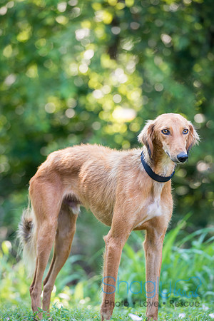 Ajax