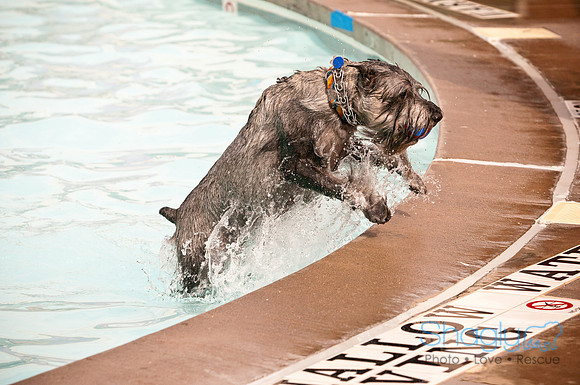 K9 Kerplunk-2210