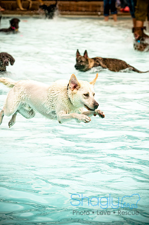 K9 Kerplunk-16