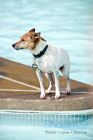 K9 Kerplunk-2265