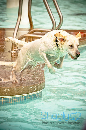 K9 Kerplunk-18