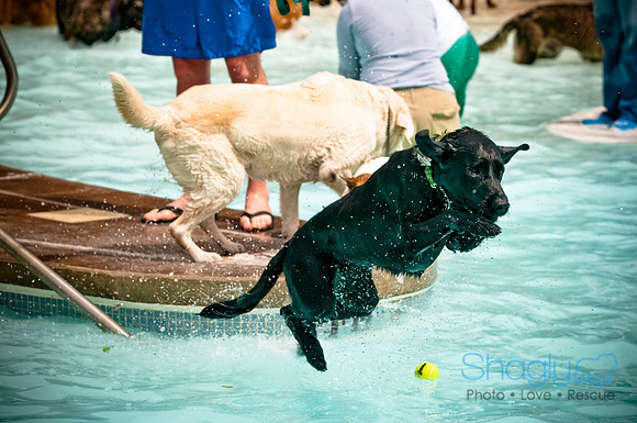 K9 Kerplunk-21
