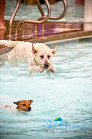 K9 Kerplunk-20