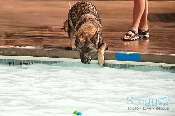 K9 Kerplunk-2387