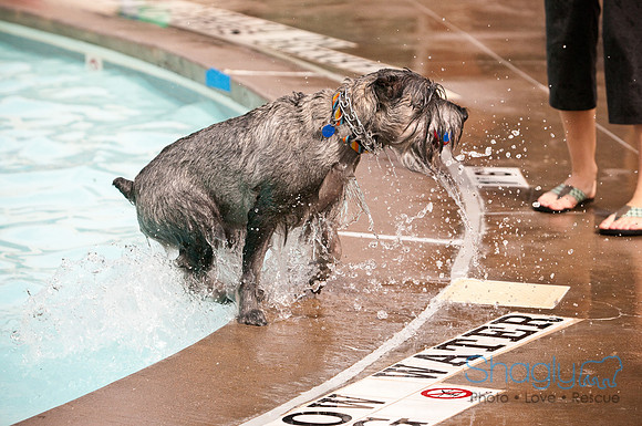 K9 Kerplunk-2211
