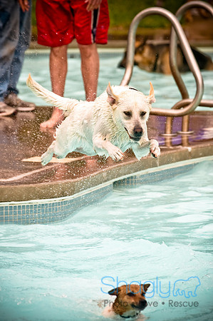K9 Kerplunk-19