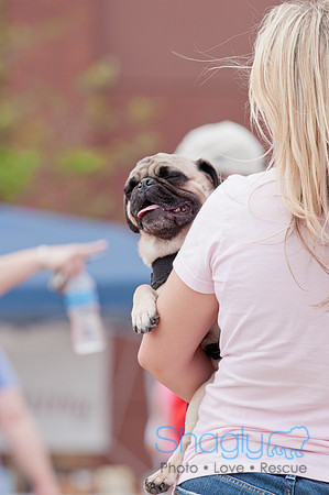 Shagly Photography Prosper Pooch Party-110