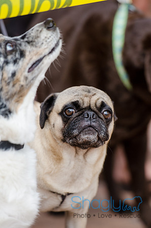 Easter Beg Hunt 2012-153
