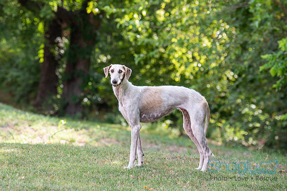 Esther