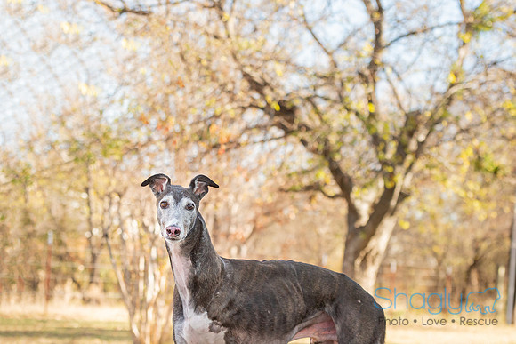 Truman