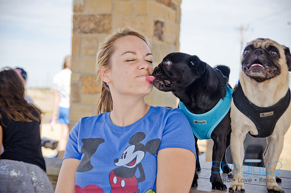 Pug Play Date-65